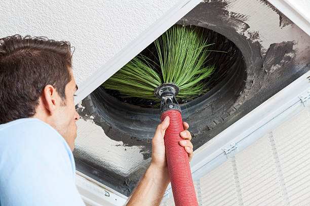 Best Ductwork Cleaning Services  in South Bradenton, FL
